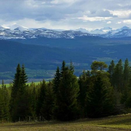 Tronsvangen Seter Alvdal Екстер'єр фото