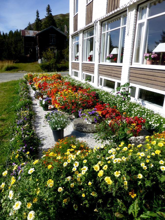 Tronsvangen Seter Alvdal Екстер'єр фото